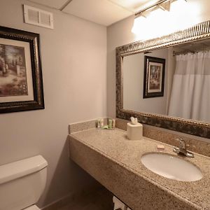 One-Bedroom King Suite